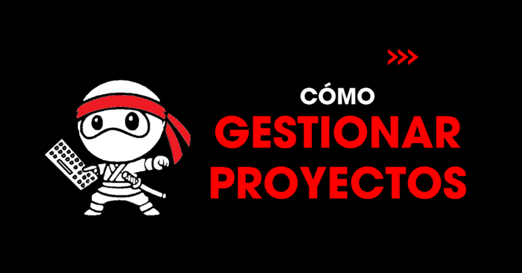 Cómo gestionar proyectos